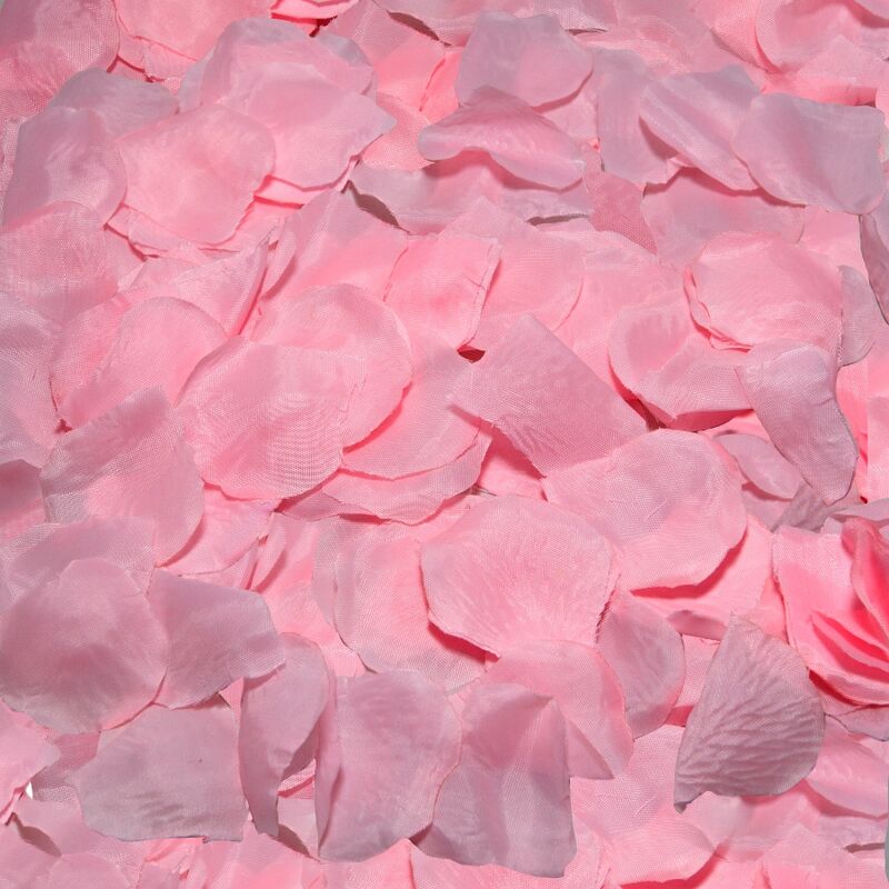 DIABO PICANTE - 100 PÉTALAS ROSA