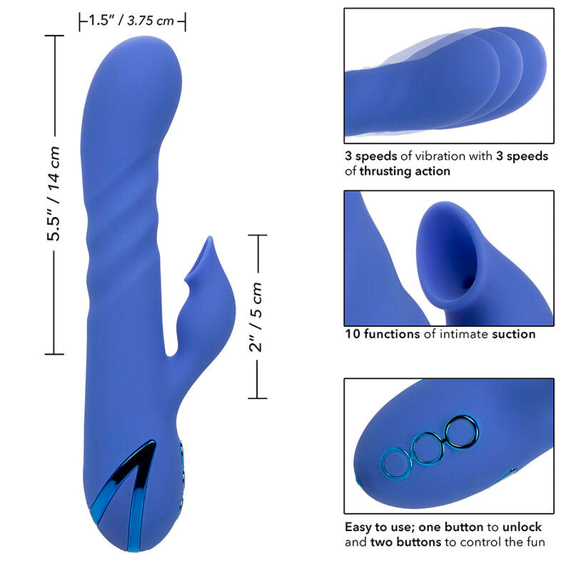 CALEXOTICS - LA LOVE VIBRADOR E SUCÇÃO AZUL DA CALIFORNIA DREAMING